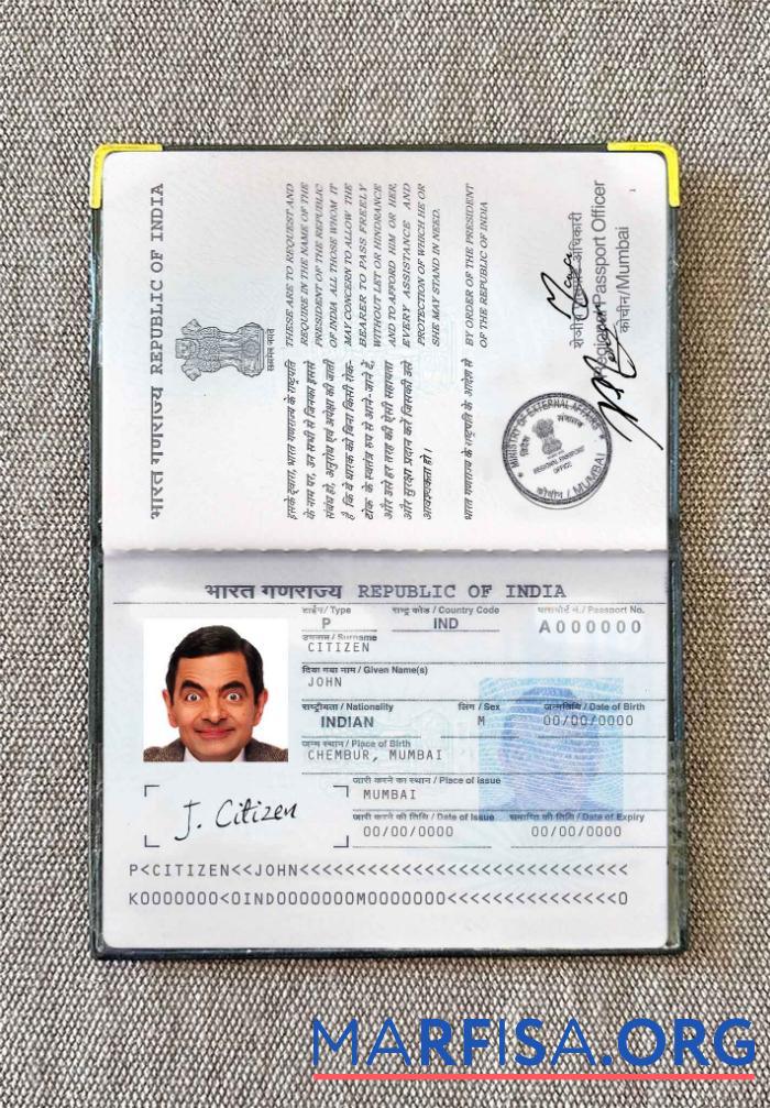 Blank India passport (2013 present) photo look download for verification